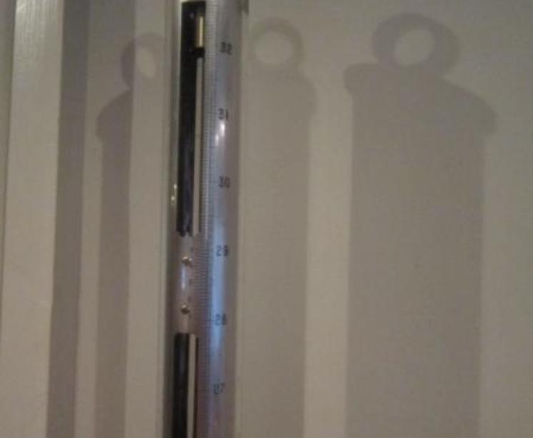 Victorian Oak Gothic Stick Barometer - Image 4