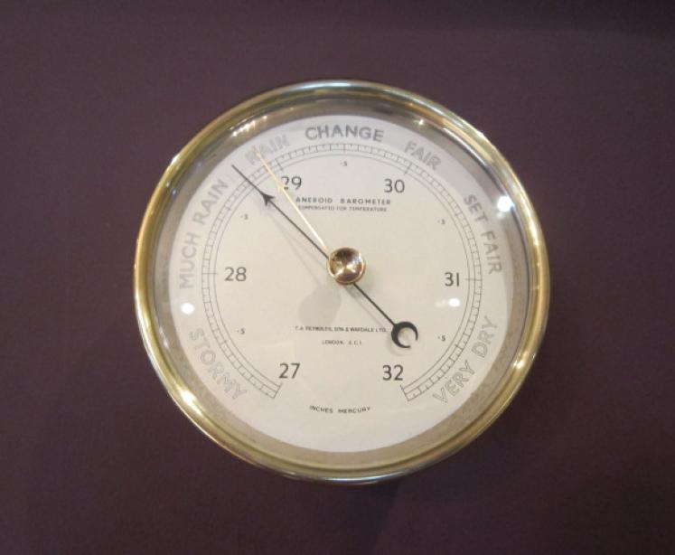 Fine Pair of William IV Bergere Library Chairs - Image 2