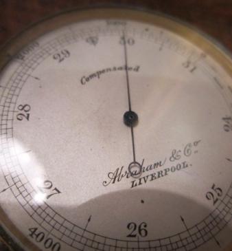 Edwardian Period Chinoiserie Collector's Cabinet on Stand