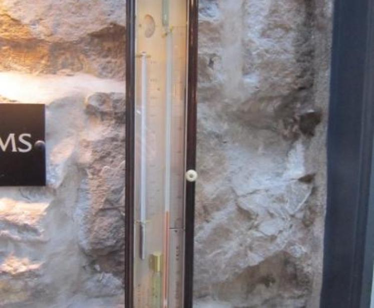 Fine Regency Rosewood Adie Sympiesometer - Image 1