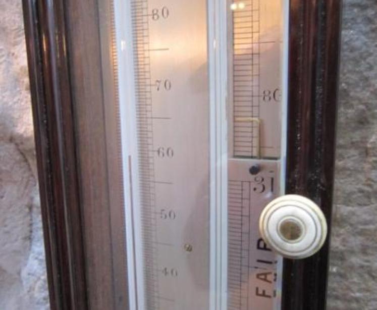 Fine Regency Rosewood Adie Sympiesometer - Image 5