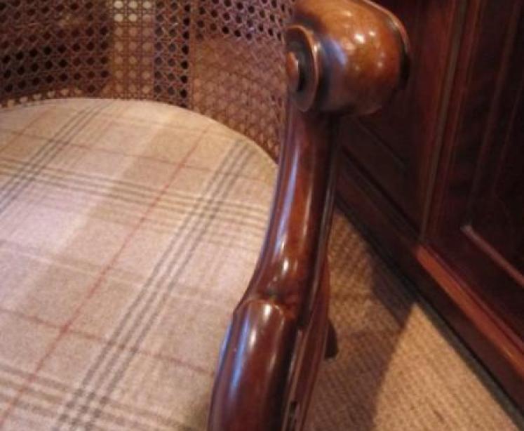 Fine Pair of William IV Bergere Library Chairs - Image 4