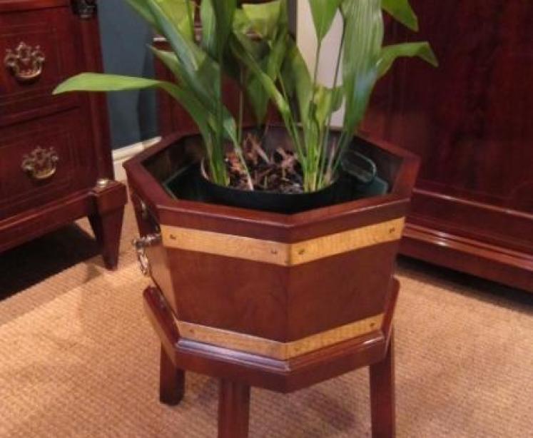 Regency Style Mahogany & Brass Wine Cooler - Image 5