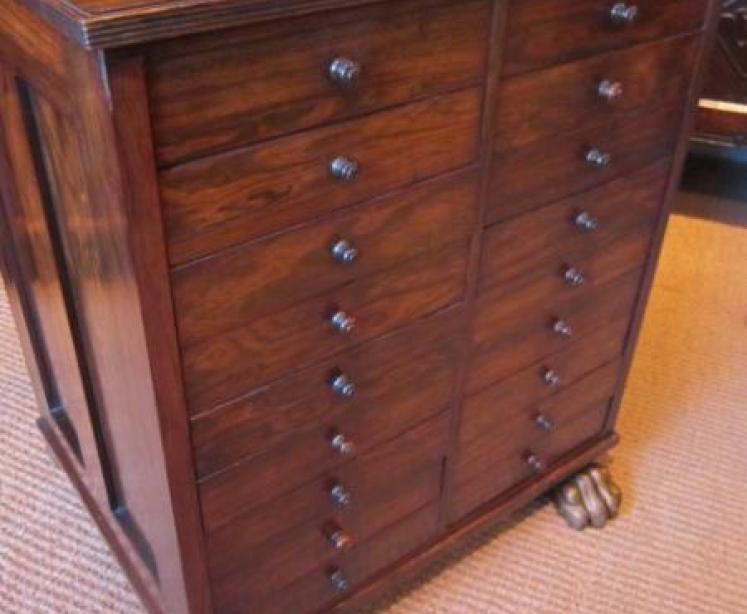 Superb Regency Rosewood Chess Top Collector's Cabinet - Image 3