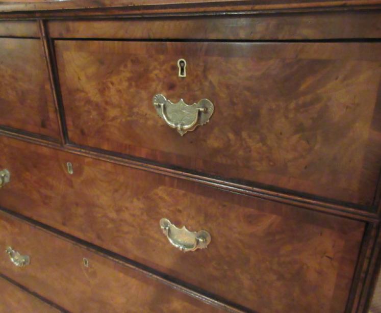 Mid Victorian Burr Walnut Chest of Drawers - Image 3