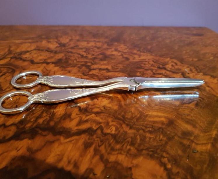 Rare Pair of Early Victorian Solid Silver Grape Scissors - Image 5