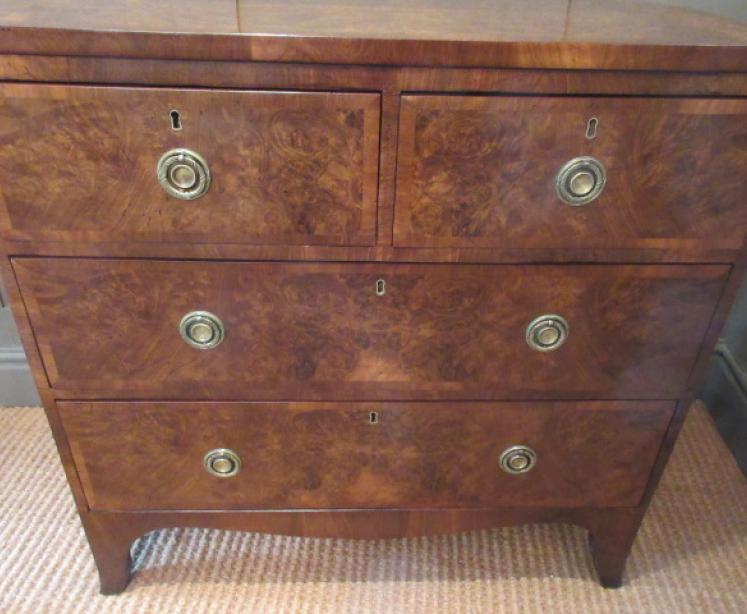 Small Regency Antique Burr Walnut Chest of Drawers - Image 3