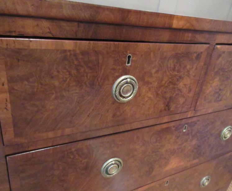 Small Regency Antique Burr Walnut Chest of Drawers - Image 4