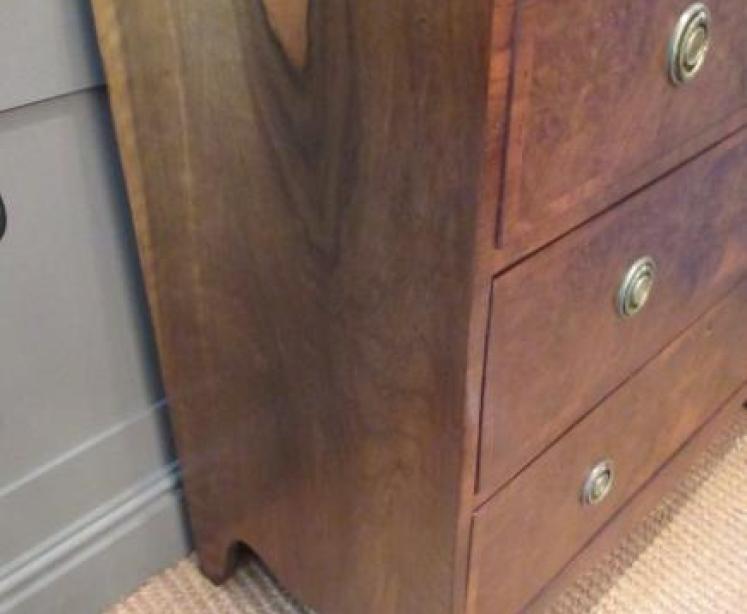 Small Regency Antique Burr Walnut Chest of Drawers - Image 5