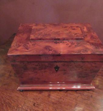 Regency Period Burr Yew Tea Caddy