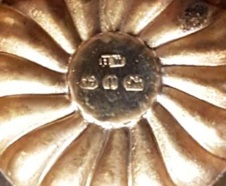 George V Silver Clam Shell Sovereign Case - Image 3