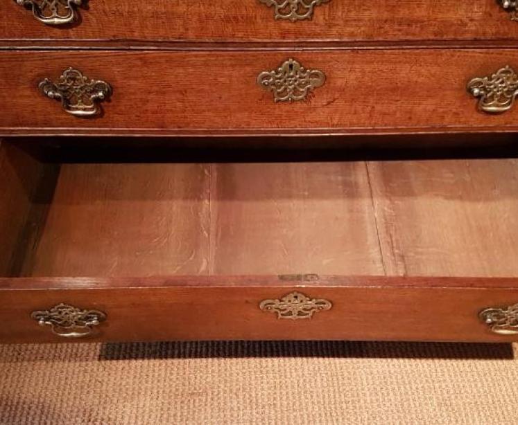 Impressive George III Oak Chest of Drawers - Image 4
