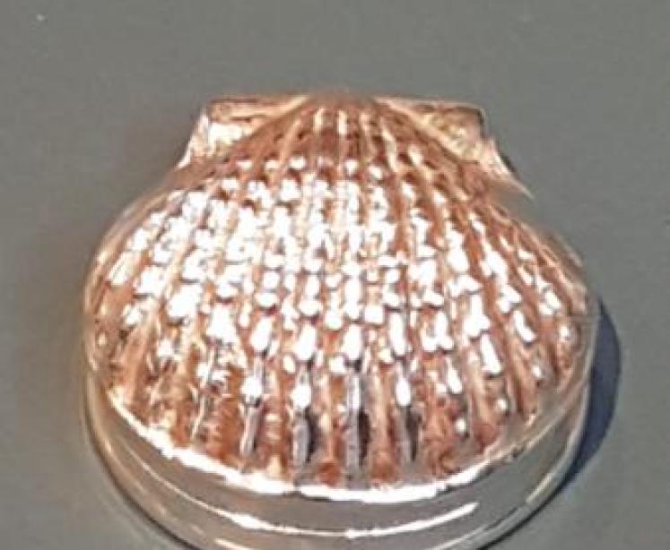 Antique Silver Clam Shell Snuff Box  - Image 1