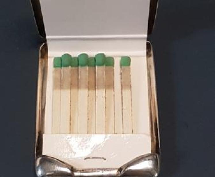 George V Silver Vesta Case - Image 7