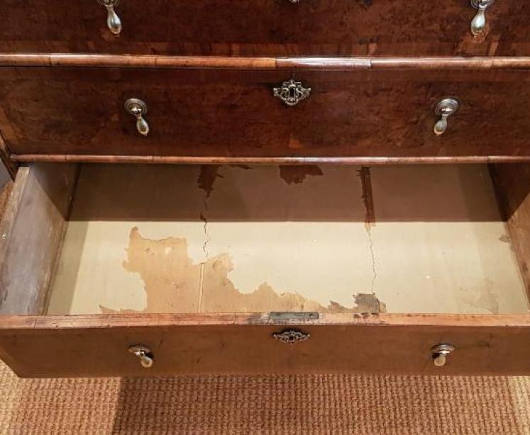 Fine William and Mary Period Walnut Chest - Image 5