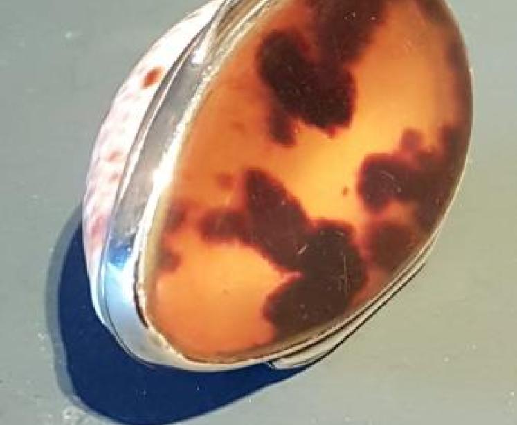 Late Georgian Cowrie and Tortoise Shell Silver Mounted Snuff - Image 3