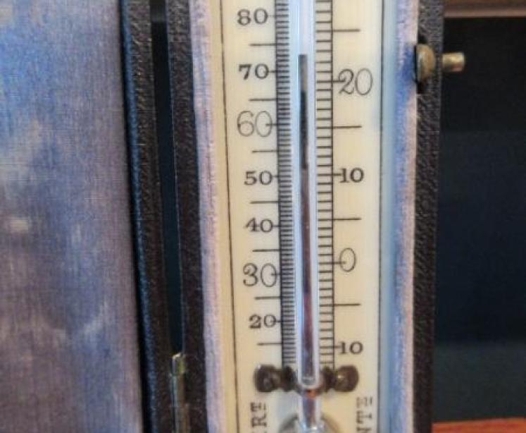 Antique Bone Scale Pocket Thermometer - Image 2