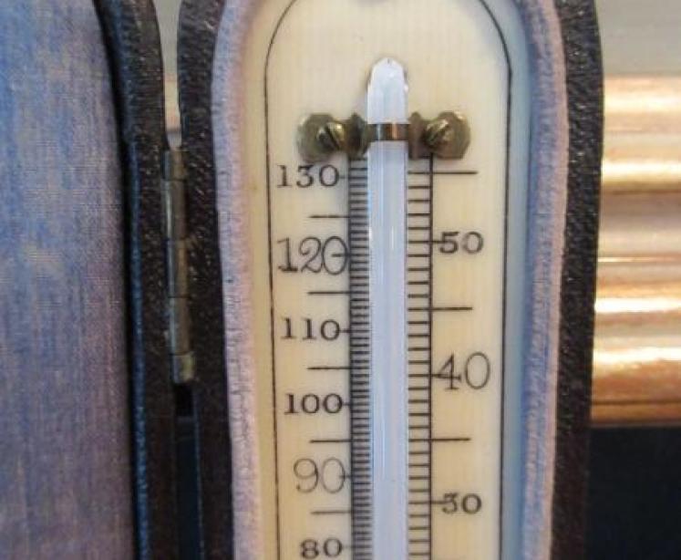Antique Bone Scale Pocket Thermometer - Image 3