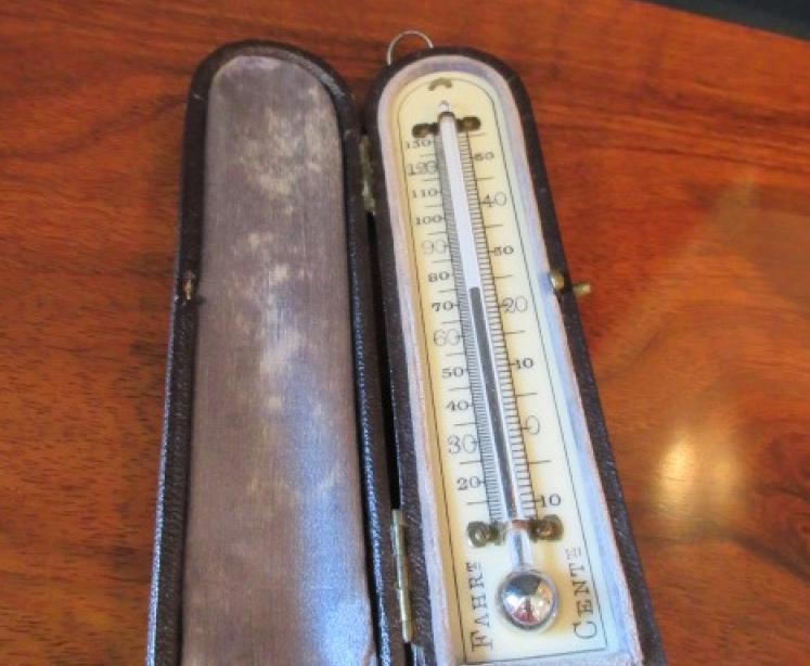 Antique Bone Scale Pocket Thermometer - Image 5