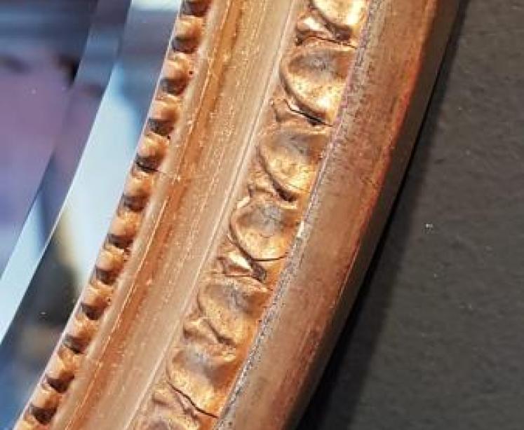 Superb Victorian Adams Style Mirror - Image 5