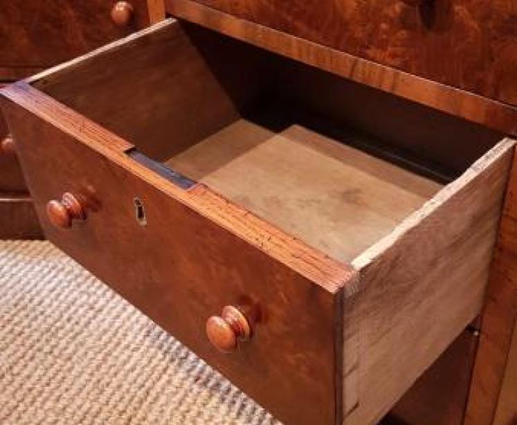 Pair of Matching Victorian Burr Walnut Bedside Cabinets - Image 5