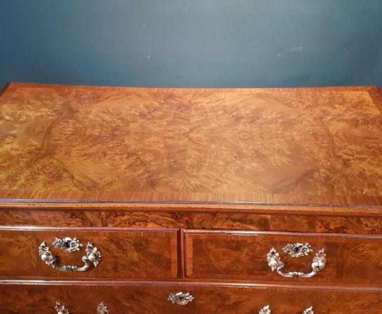 Superb Quality Victorian Burr Walnut Chest of Drawers - Image 6