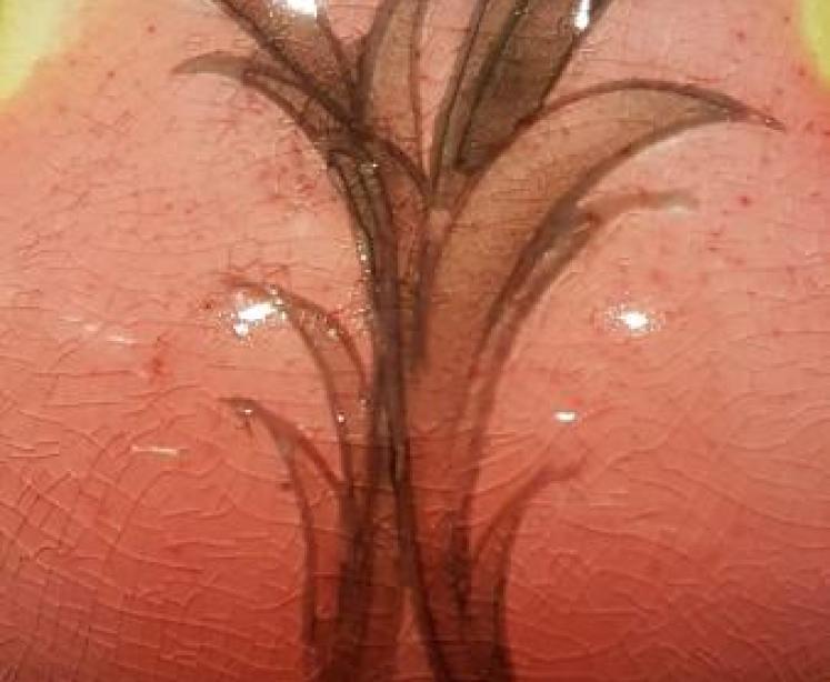 Rare Moorcroft Flambe Big Poppy Vase - Image 5