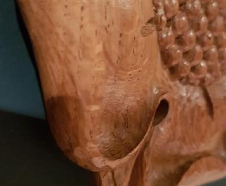 Thompson of Kilburn Yorkshire Rose Wall Plaque - Image 4