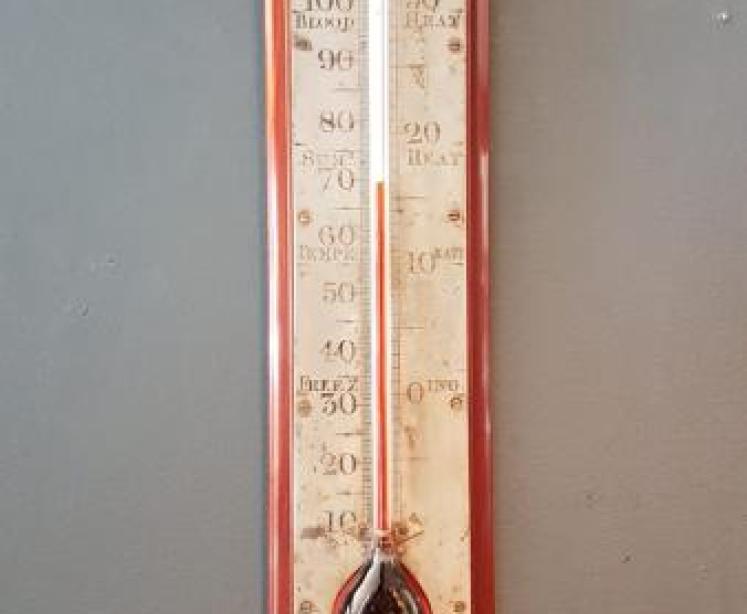 Large Mid 19th Century Dublin Wall Mounted Thermometer  - Image 1