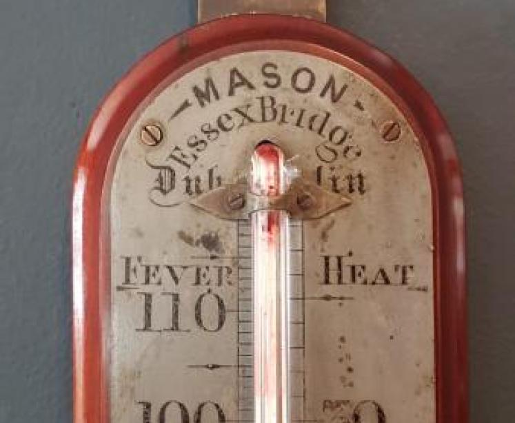 Large Mid 19th Century Dublin Wall Mounted Thermometer  - Image 4