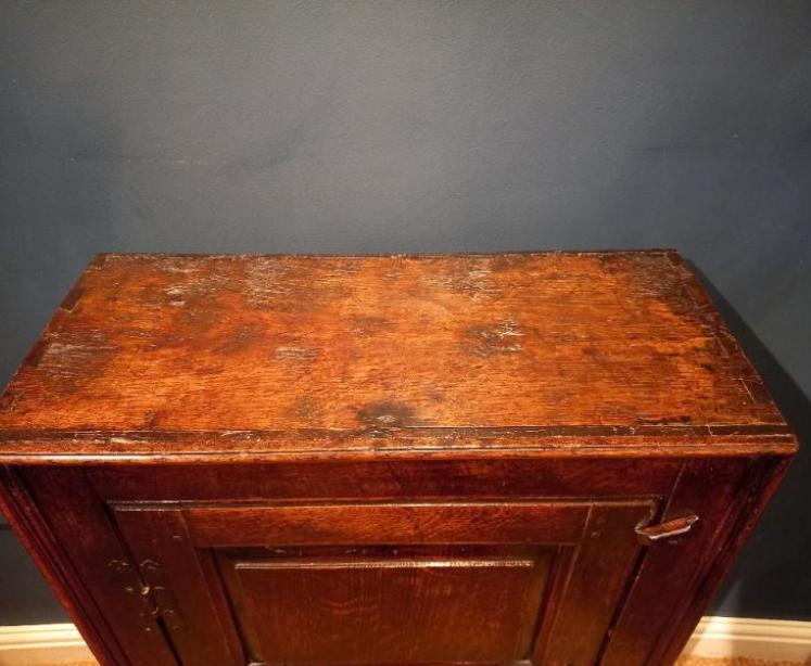 Early Period Oak Panelled Floor Standing Cupboard - Image 6