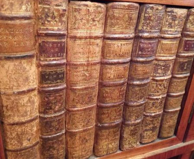 Antique Walnut Inlaid Lamp Table - Image 6