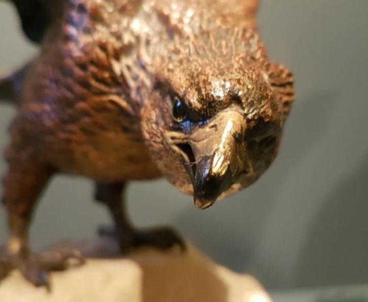 Late 19th Century Austrian Cold Painted Bronze Eagle - Image 2