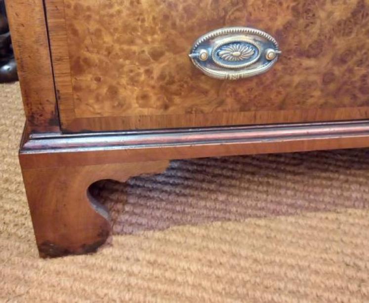 Small Mid Victorian Burr Walnut Chest of Drawers - Image 5