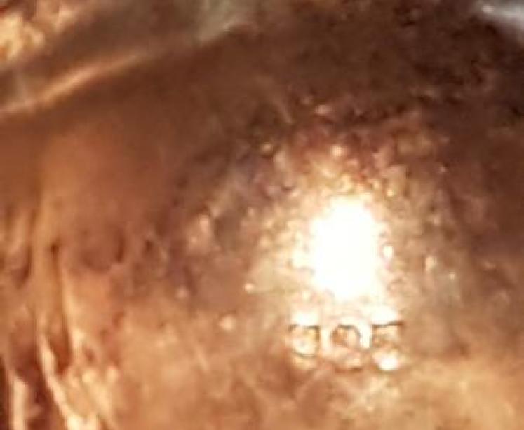 Silver Shell Pill Box - Image 6