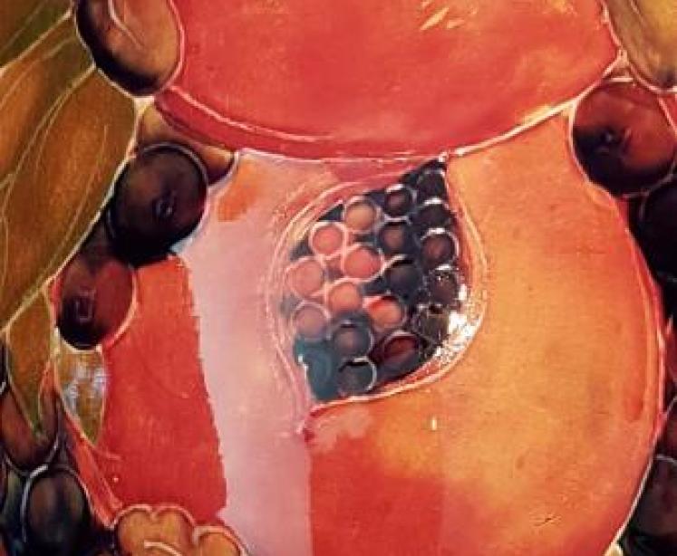 Impressive Early Moorcroft Pomegranate Vase - Image 3