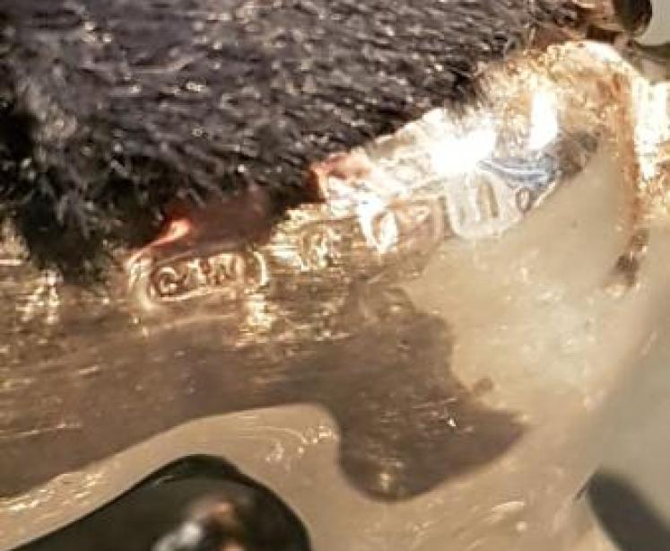 Rare Edwardian Silver Pug Pin Cushion - Image 4