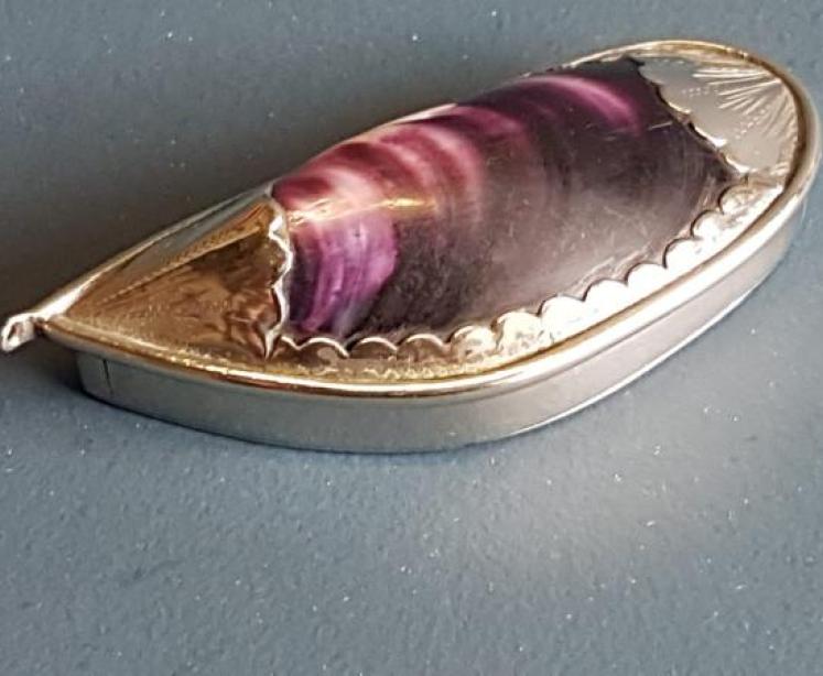 Collectable Silver and Shell Vesta Case - Image 1