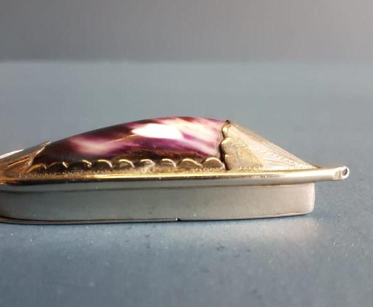 Collectable Silver and Shell Vesta Case - Image 5