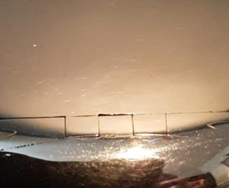 Edwardian Silver Squeeze Tobacco Pebble - Image 2