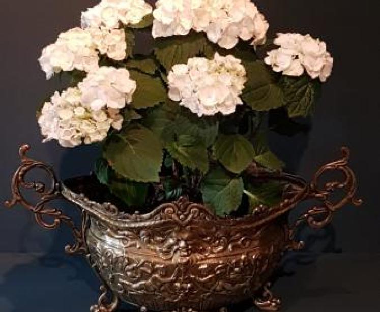 Antique Brass Jardiniere - Image 7