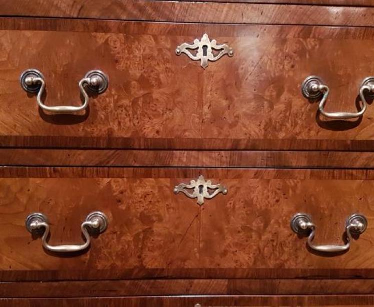 Edwardian Burr Walnut Tallboy Chest - Image 4