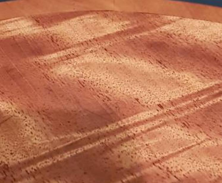 Matching Pair of Edwardian Wine Tables - Image 3