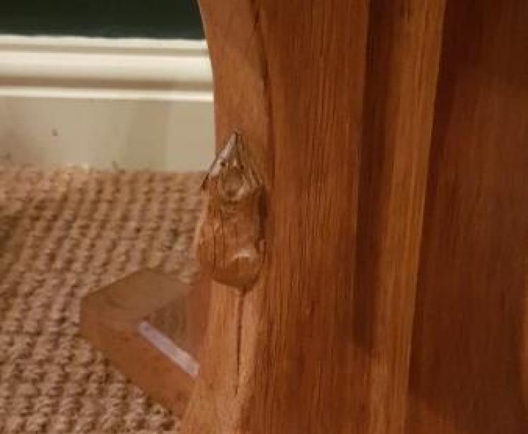 Thompson's of Kilburn Mouseman Octagonal Table  - Image 5