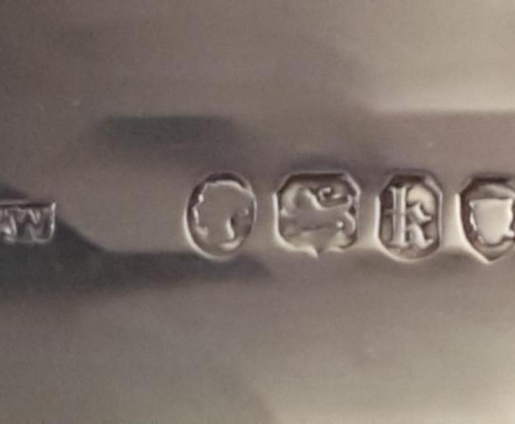 Superb Coromandel and Silver Travelling Box - Image 5