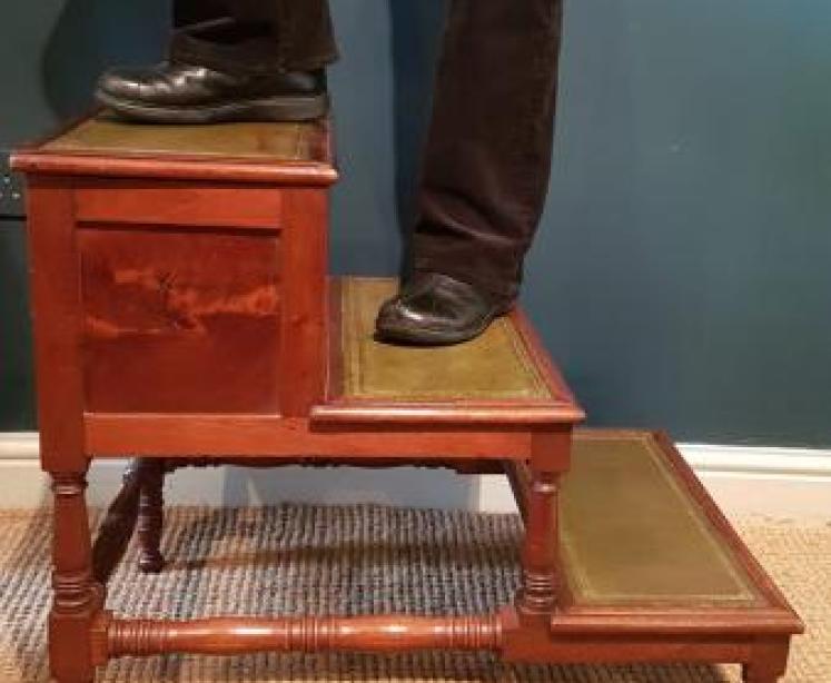 Set of Early Victorian Mahogany Library Steps - Image 7