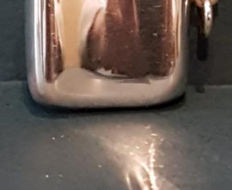 Edwardian Silver Cat Motif Vesta Case - Image 3