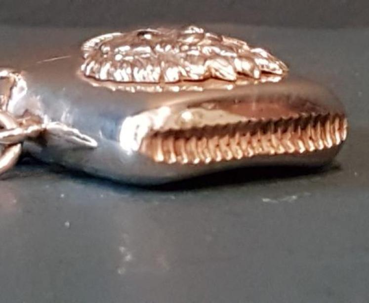 Edwardian Silver Cat Motif Vesta Case - Image 4