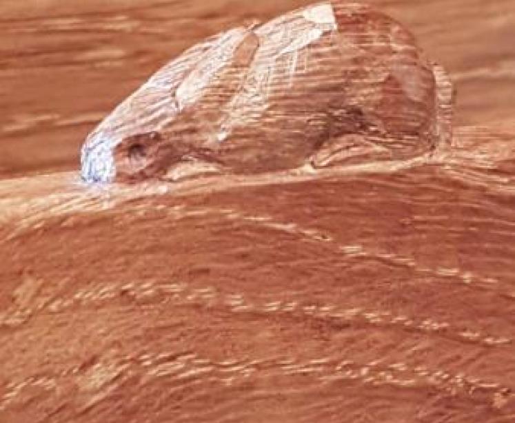 Rabbit Man (Peter Heap) Oak Letter Rack - Image 3