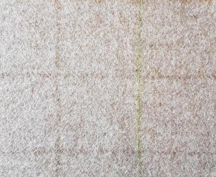 Mid Victorian Burr Walnut Ottoman - Image 6